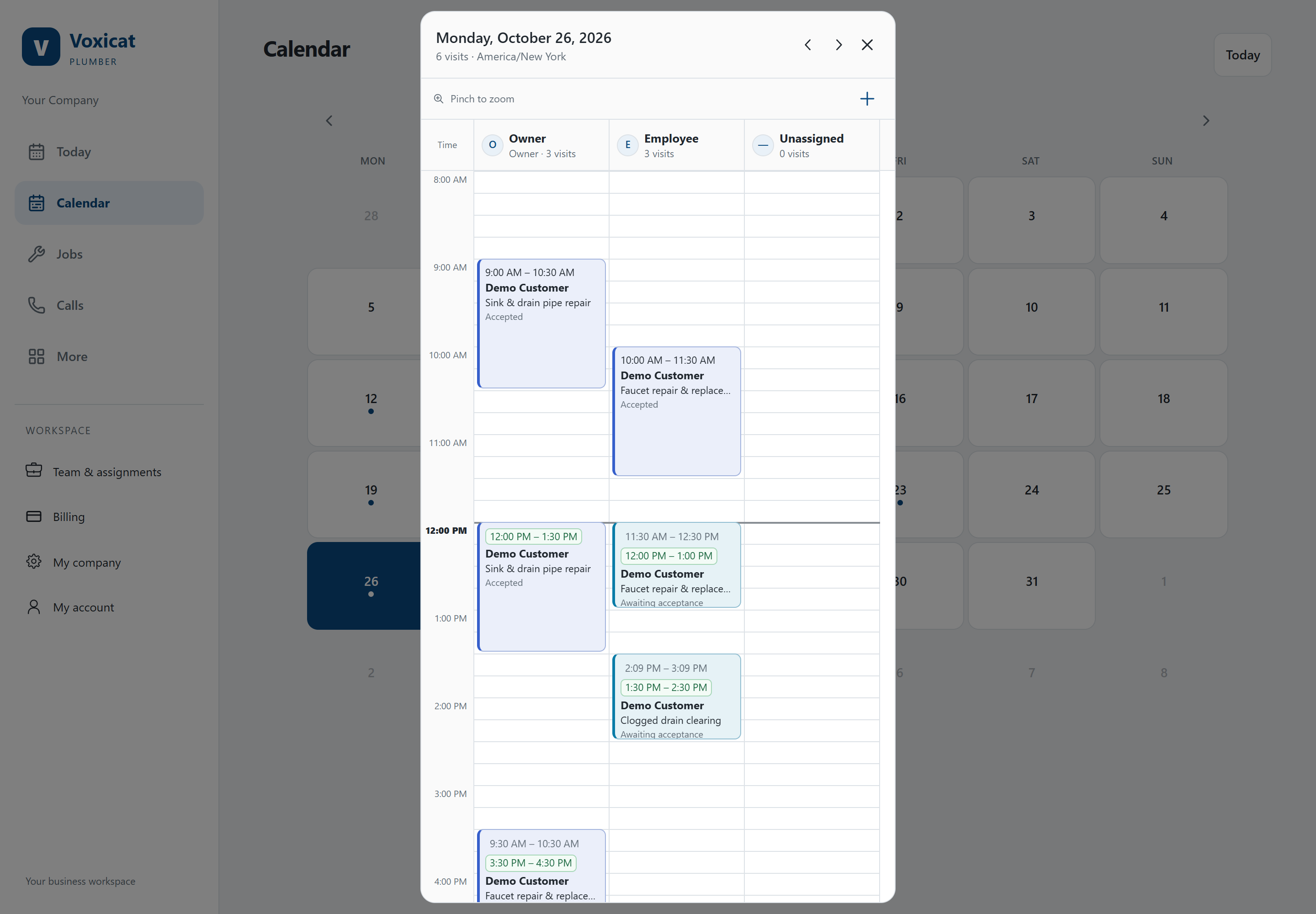 Real Voxicat calendar screen with anonymized demonstration details